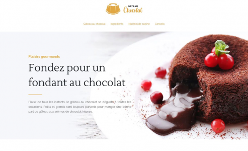 https://www.gateau-chocolat.info
