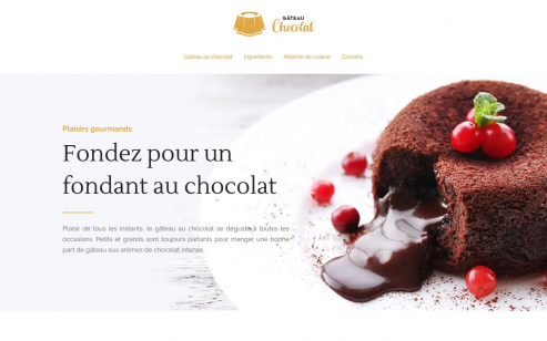 Gâteaux au chocolat : idées & conseils pratiques